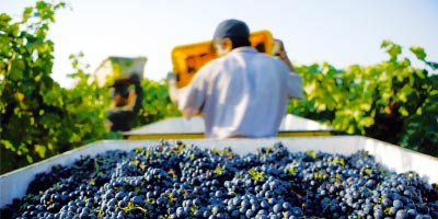 当協会について