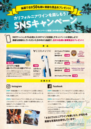 SNSキャンペーンPOPデータA4裏（PDF）